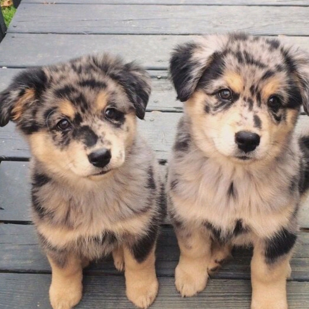 Meet your Posher, Kristallyn